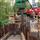 Cofferdam construction in Windsor (May 2017)